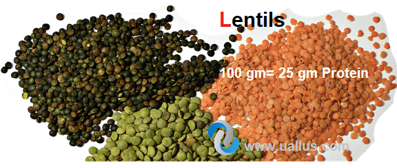 Lentils