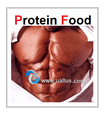 Protein Food